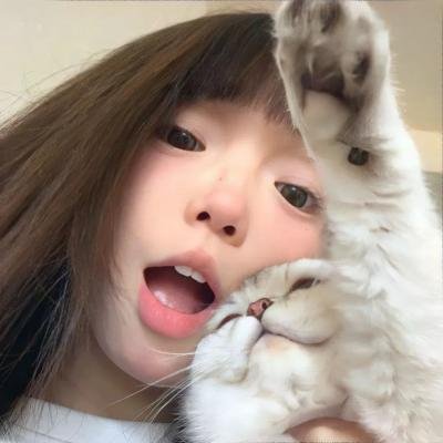 美洲狮公司