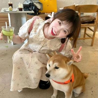 杰拉德历险记